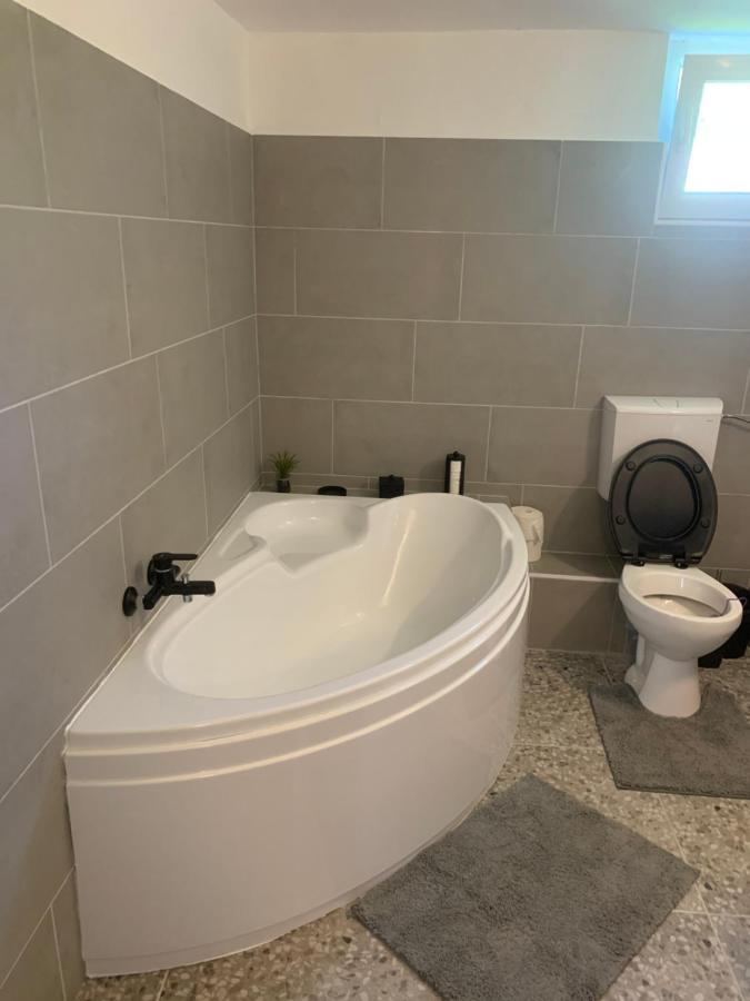 Apartment Dora Vendeghaz